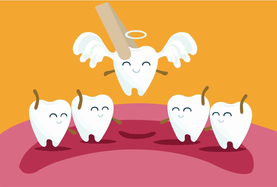 Where does a tooth go after extraction?