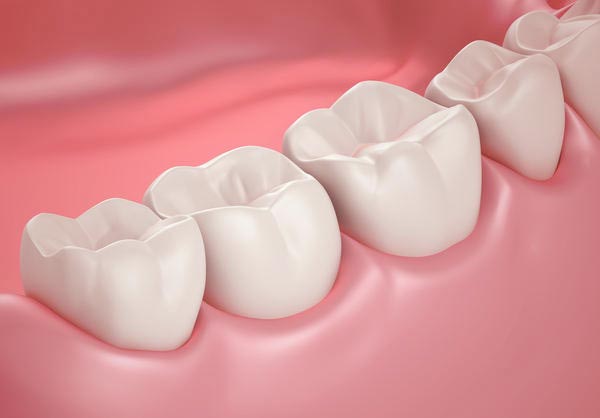 Molar (tooth)