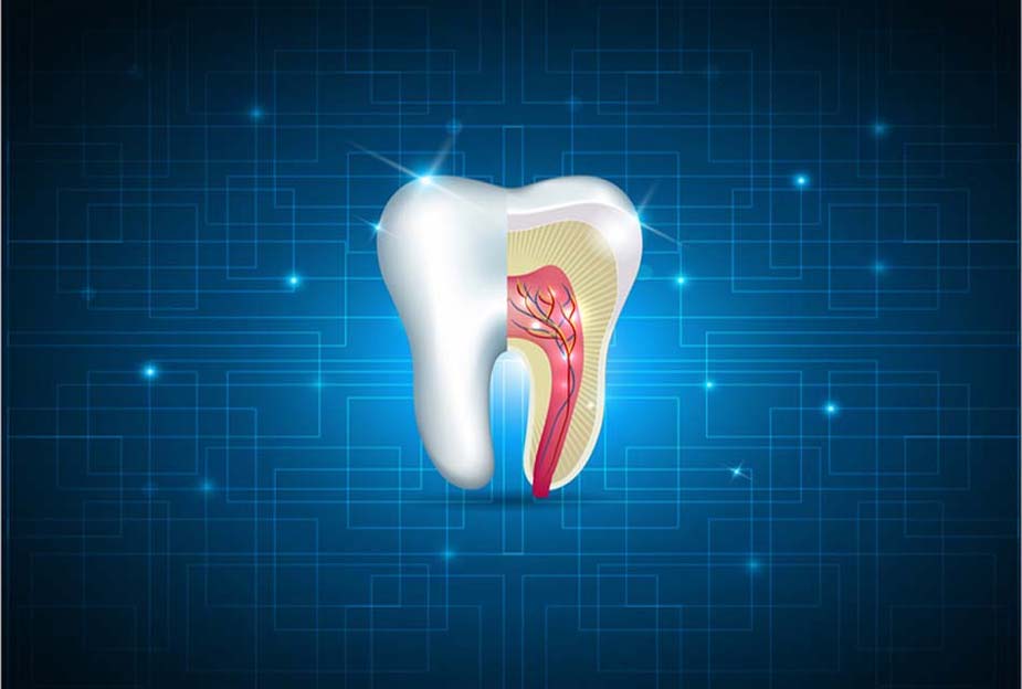 10 myths and facts about root canals